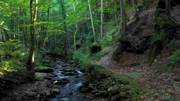 Berg rivier stroomt over rotsen en keien in bos — Stockvideo