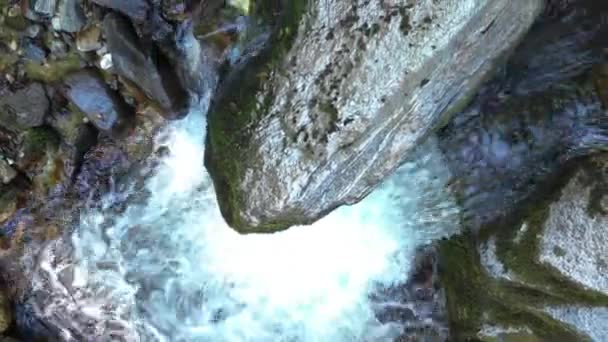 Гірська річка, що протікає через камені і валуни в лісі — стокове відео