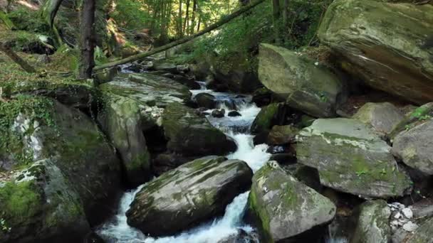 Gebirgsfluss fließt über Felsen und Geröll im Wald — Stockvideo