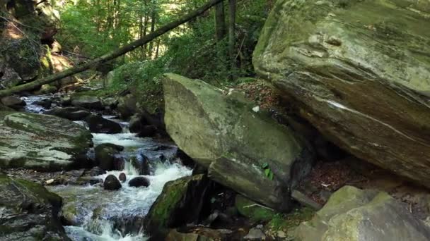 Rio de montanha que corre sobre rochas e pedregulhos na floresta — Vídeo de Stock