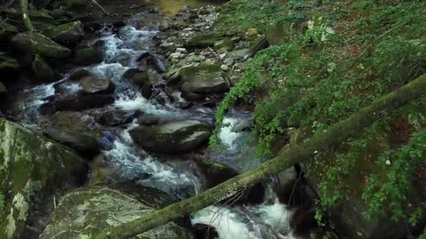 Gebirgsfluss fließt über Felsen und Geröll im Wald — Stockvideo