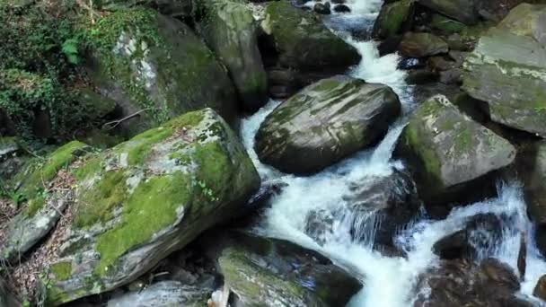 Fiume di montagna che scorre su rocce e massi nella foresta — Video Stock