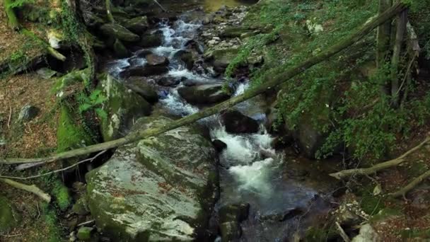 Gebirgsfluss fließt über Felsen und Geröll im Wald — Stockvideo