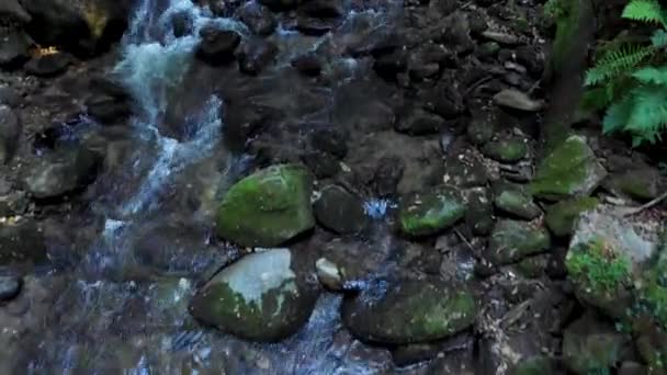 Mountain-floden som flödar över stenar och stenblock i skogen — Stockvideo