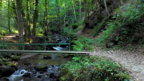 Berg rivier stroomt over rotsen en keien in bos — Stockvideo