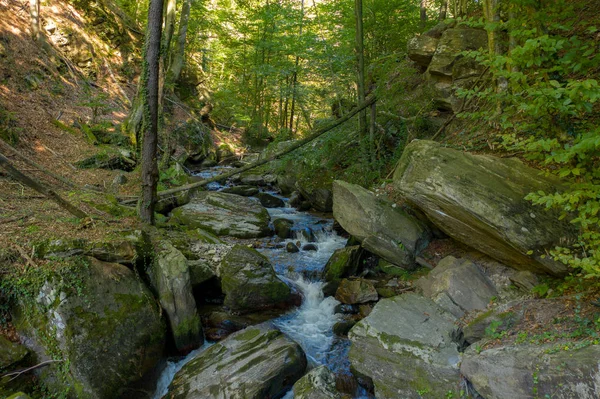 Rio de montanha que corre sobre rochas e pedregulhos na floresta — Fotografia de Stock