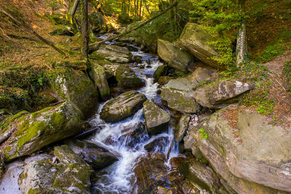 Mountain river flowing over rocks and boulders in forest