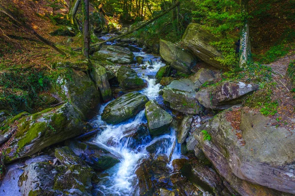 Rio de montanha que corre sobre rochas e pedregulhos na floresta — Fotografia de Stock