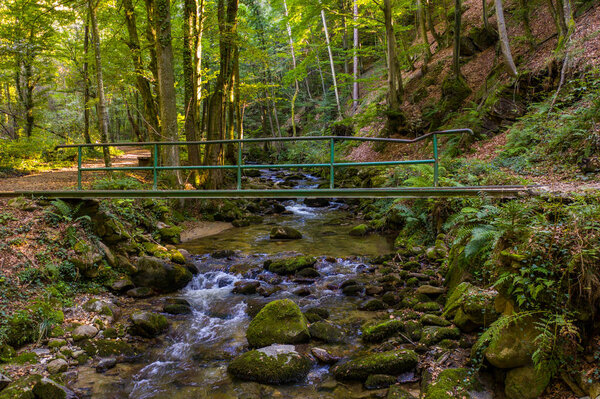 Mountain river flowing over rocks and boulders in forest