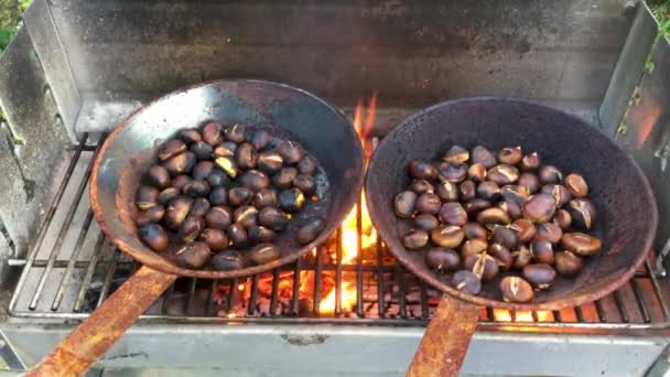 Castañas asadas sobre fuego abierto — Vídeos de Stock