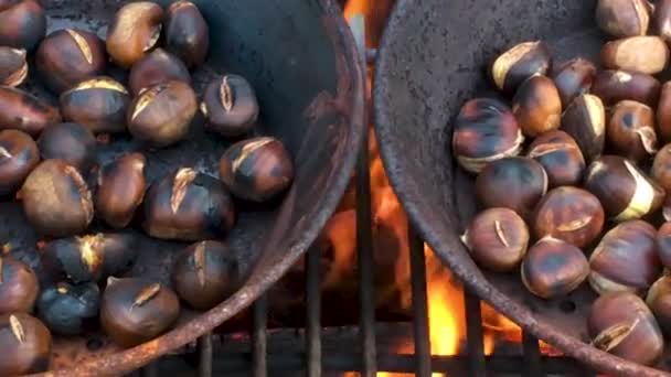 Kastanjer rostade på öppen eld — Stockvideo