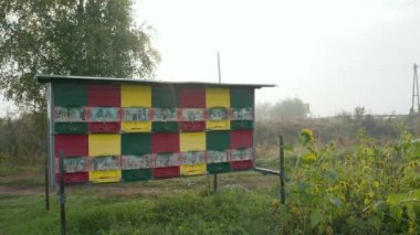 Behive sisli sonbahar sabah ayçiçeği alanında, geleneksel Slovence arı kovanı boyalı.