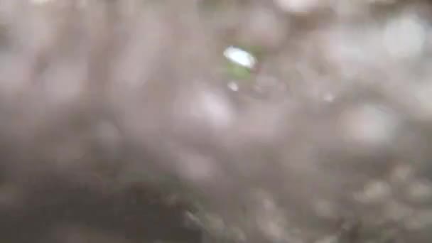 Sfera di plastica verde rotolata dal flusso d'acqua nella vasca da bagno, rallentatore — Video Stock