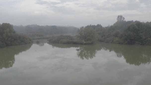 Luftaufnahme eines klaren, reflektierenden Sees in einem Wald an einem schönen Herbstmorgen in der slowenischen Landschaft — Stockvideo