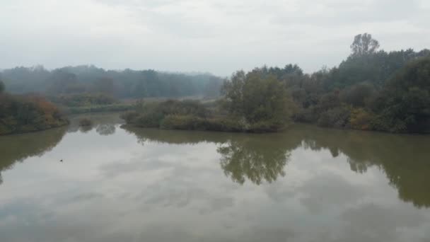 Retroscena drone di un limpido lago riflettente in una foresta in una bella mattina d'autunno nella campagna slovena — Video Stock