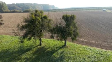 Bir tepelik cropfield ve Slovenya kırsal Cresnjevec köyü yakınındaki tarım arazileri havadan görünümü