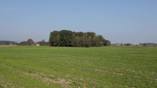 Luchtfoto vliegen boven gecultiveerde landbouwgrond naderen van een cluster van bomen in landelijke Slovenië — Stockvideo