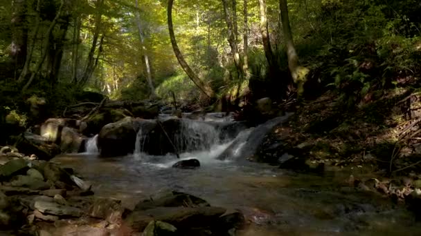 Arroyo de montaña en otoño mañana — Vídeos de Stock
