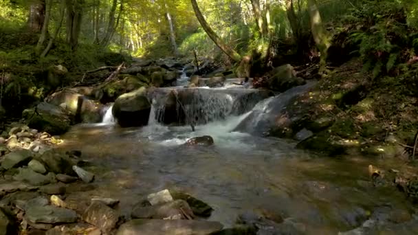 Ruisseau de montagne en automne matin — Video