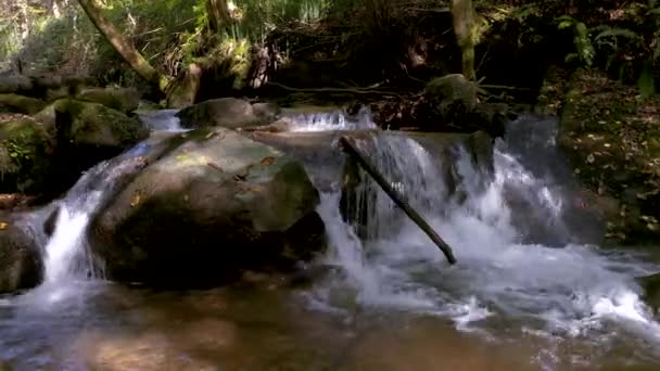 Fluxo de montanha na manhã de outono — Vídeo de Stock