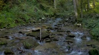 Sonbahar sabahı dağ dere