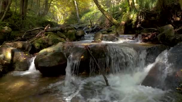 Гірський потік в осінній ранок — стокове відео