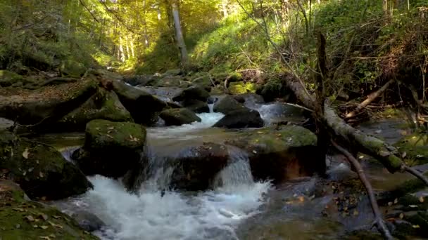 Horský potok v podzimní ráno — Stock video