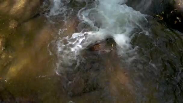 Górski potok w jesienny poranek — Wideo stockowe