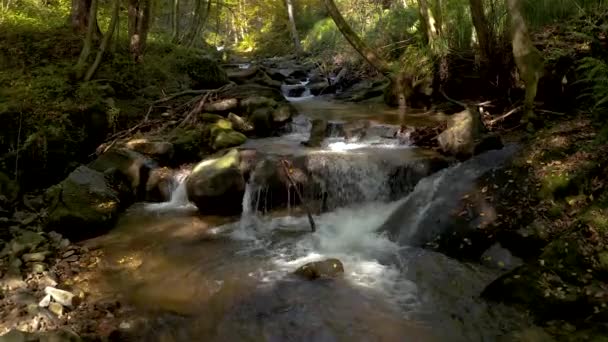 Hegyi patak őszi reggel — Stock videók