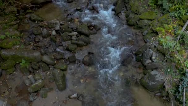 Bergbeek in herfst ochtend — Stockvideo