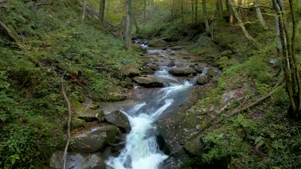 Ruisseau de montagne en automne matin — Video