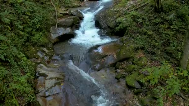 Ruscello di montagna in autunno mattina — Video Stock