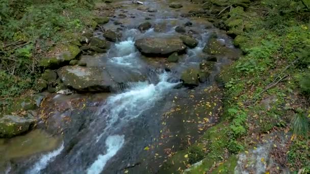 Ruisseau de montagne le matin d'automne, plan rapproché d'un drone aérien, forêt avec petit ruisseau, lit de rivière d'en haut 
