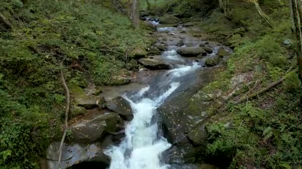 Górski potok w jesienny poranek — Wideo stockowe