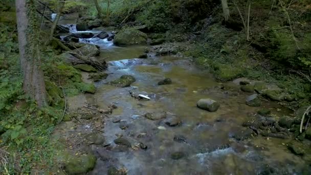 Arroyo de montaña en otoño mañana — Vídeo de stock