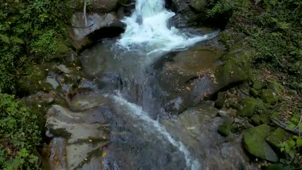 Bergbeek in herfst ochtend — Stockvideo