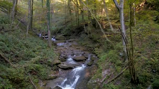 Mountain stream in autumn morning — Stock Video