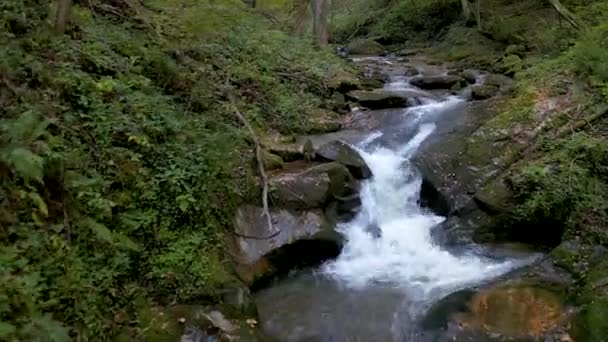 Bergbeek in herfst ochtend — Stockvideo