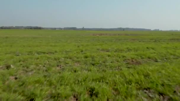 Drone volando rápido sobre el campo verde hacia una torre de caza — Vídeos de Stock