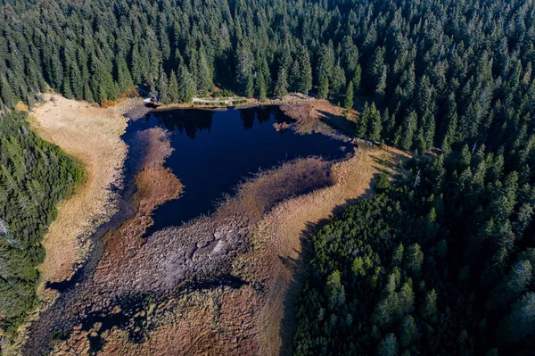 Lago negro e pântanos, floresta no fundo na montanha Pohorje, Eslovênia — Fotografia de Stock