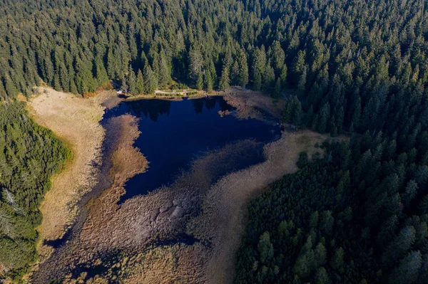 Lago negro e pântanos, floresta no fundo na montanha Pohorje, Eslovênia — Fotografia de Stock