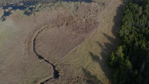 Flygfoto på svarta sjön och myrar, skog i bakgrunden på Pohorje berg, Slovenien, höst morgon, — Stockvideo