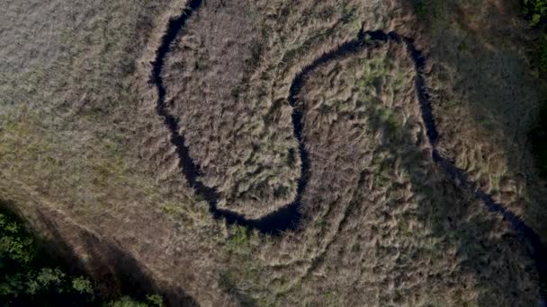 Ruisseau sinueux dans les marais, vue aérienne — Video