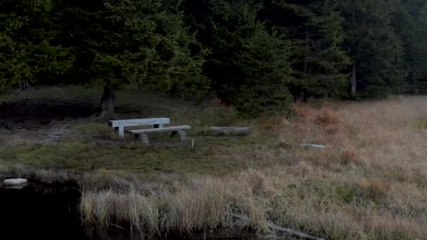 Banco e mesa na margem de um lago, vista aérea no lago Negro e pântanos, floresta no fundo na montanha Pohorje, Eslovênia, manhã de outono — Vídeo de Stock