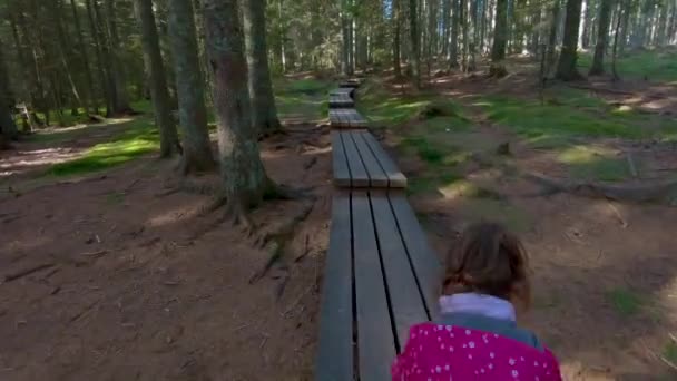 Little girl hiking on footbridge through woods — Stock Video