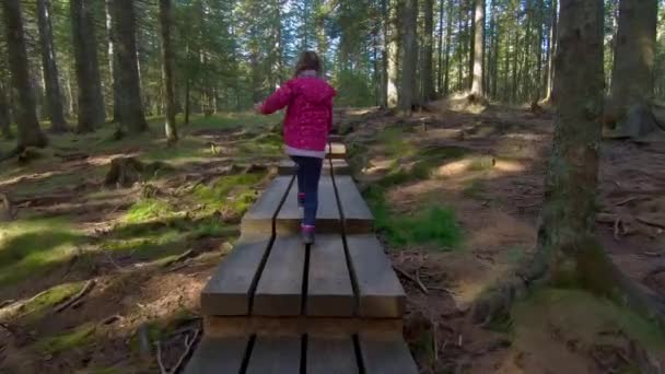 Маленькая девочка путешествует по пешеходному мосту через лес — стоковое видео