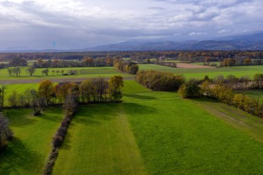 Doğu Slovenya kırsal alanlar, orman ve hedges, alanlar ve çayırlar bölen hedgerows havadan görünümü