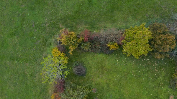 Vue aérienne du haut vers le bas de la clôture de jardin envahie par des buissons et des arbres — Photo