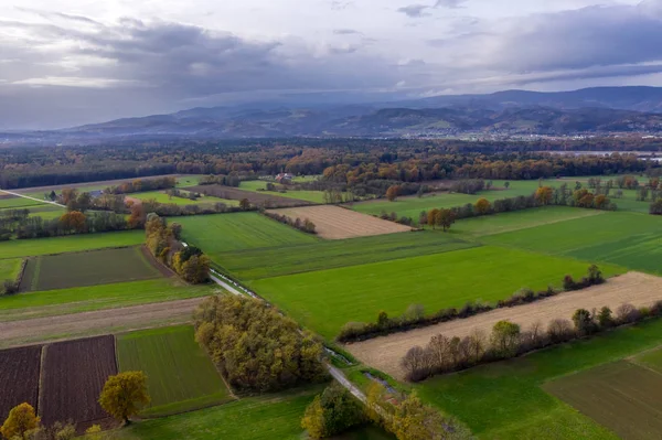 Aerial view of east Slovenia countryside with fields, forest and hedges, hedgerows dividing fields and meadows — Stock Photo, Image