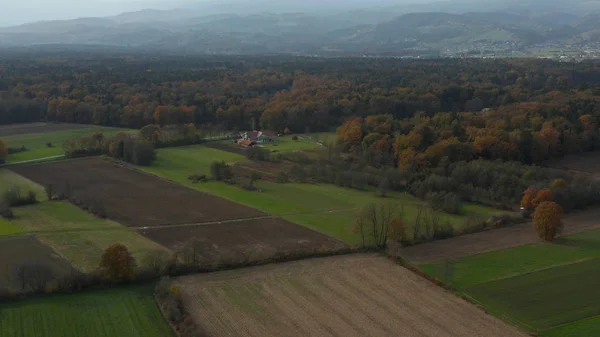 Veduta aerea della campagna della Slovenia orientale con campi, boschi e siepi, siepi che dividono campi e prati — Foto Stock